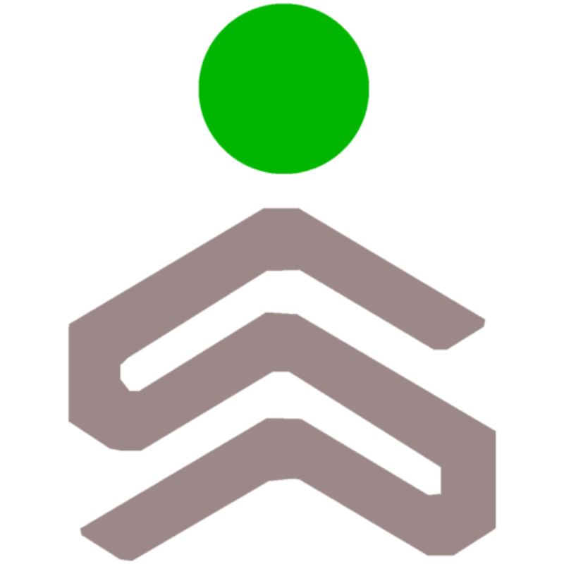 RFS Schuldnerberatung - Logo für Privatinsolvenz