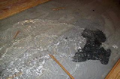Water damage in the basement