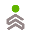 Logo der RFS Schuldnerberatung Schwetzingen