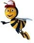 Biene - teambee in Kiel-Mettenhof für Flyer verteilen